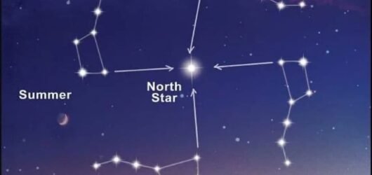 The Celestial Chat: When the Rishis Returned Through WhatsApp