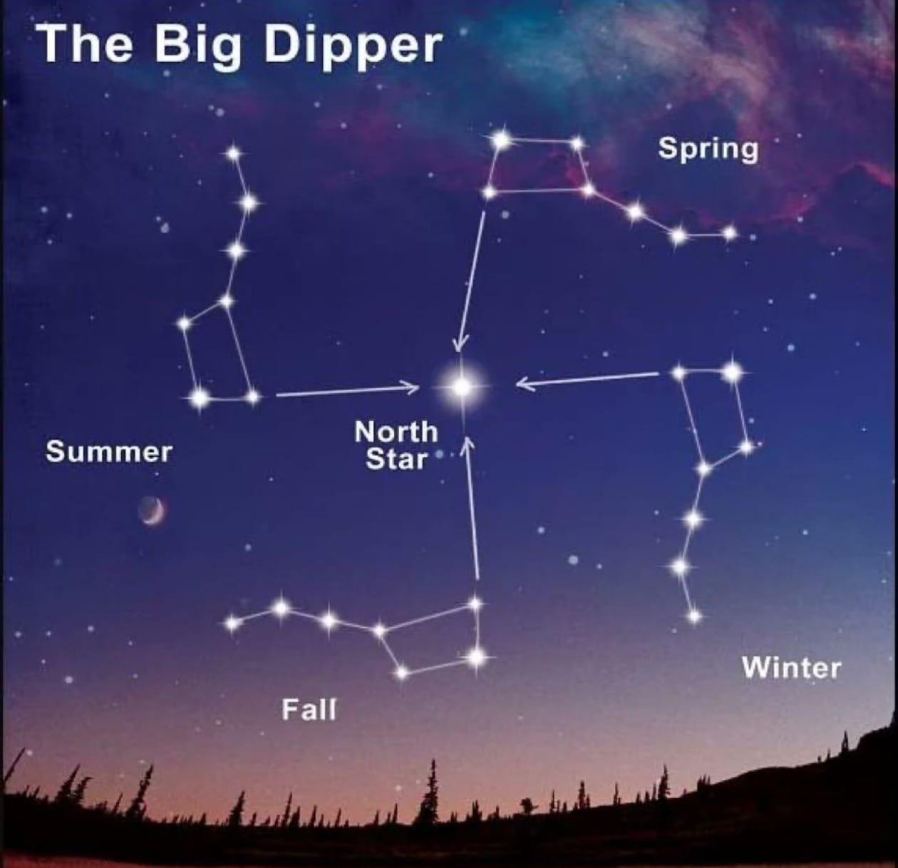 The Celestial Chat: When the Rishis Returned Through WhatsApp